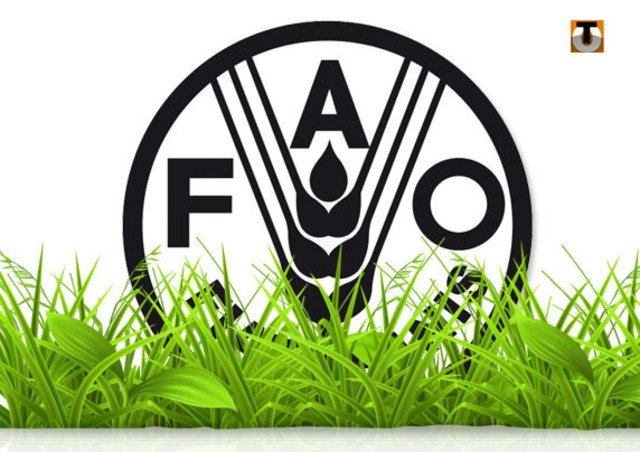 Se crea la FAO