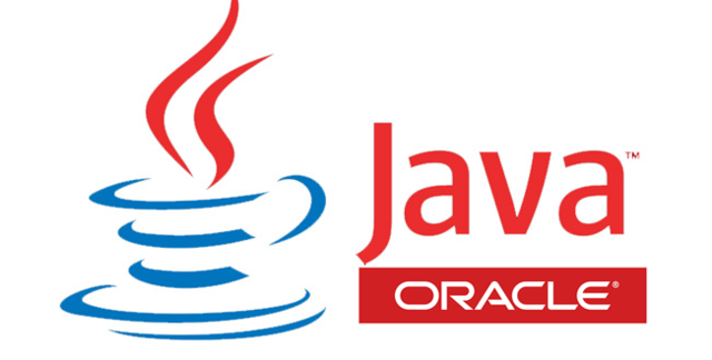 La aparicion del lenguaje de programación java