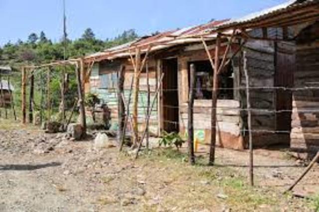 Deadly protests lead to destruction