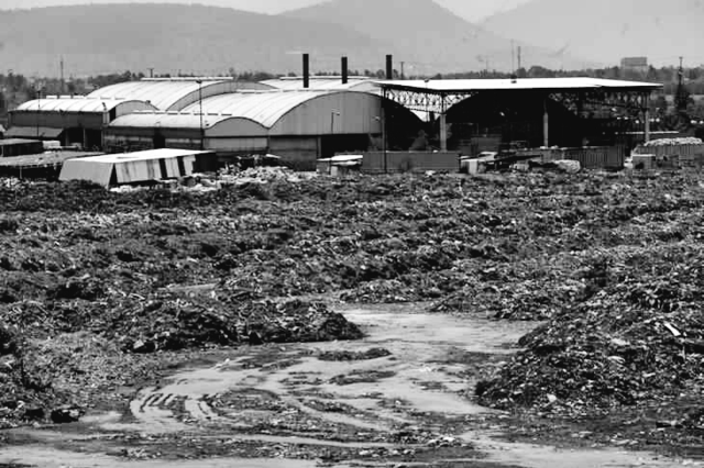 En la ciudad holandesa de Hanmer se instaló la primera planta de compost hecho con las basuras urbanas