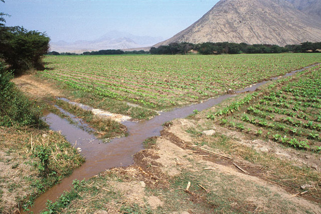 irrigation system