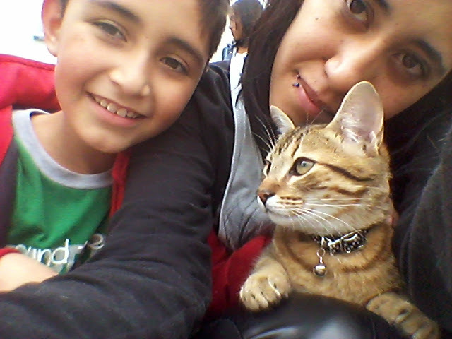 tengo mi primera mascota Merlin