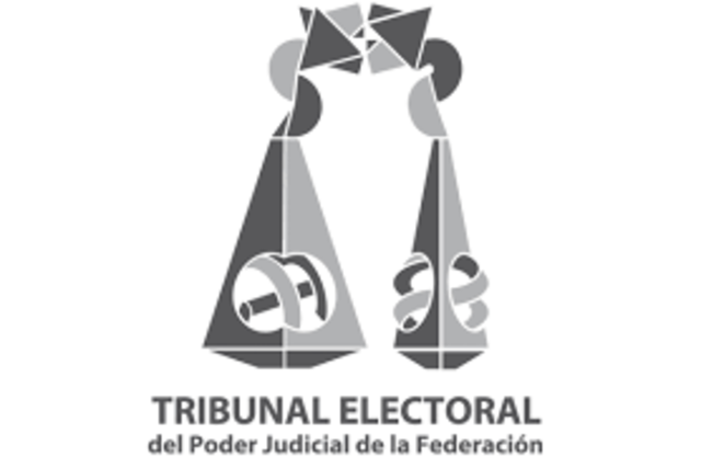 Tribunal Federal Electoral