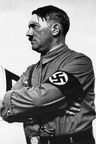 Hitler rises to power