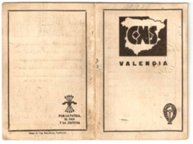 SINDICATOS VERTICALES