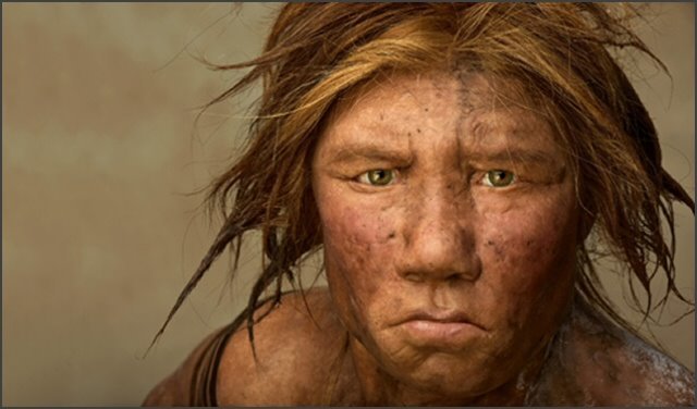 Homo neanderthalensis