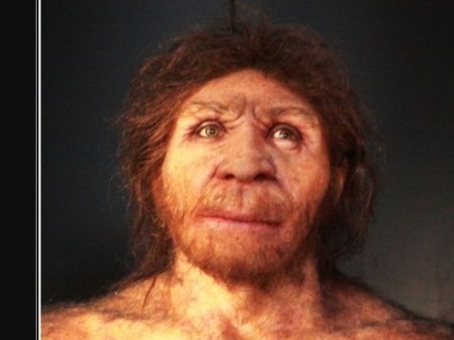 Homo Antecesor