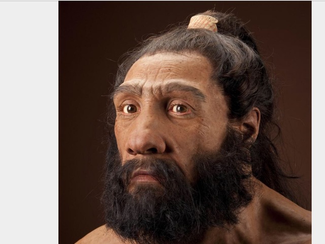 Homo Neanderthalensis
