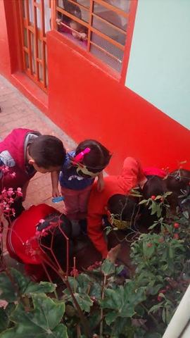 mas oportunidad  en la educacion