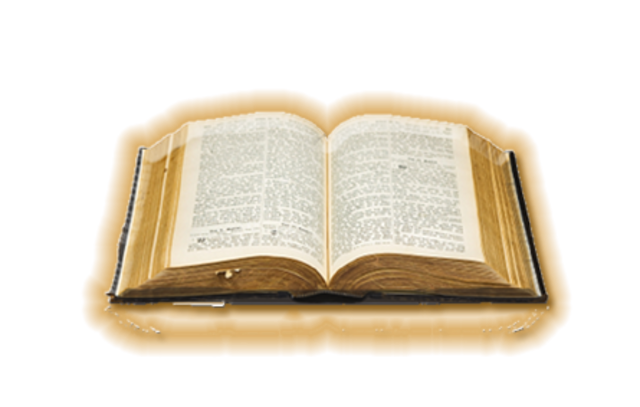 Investigaciones de Ampere