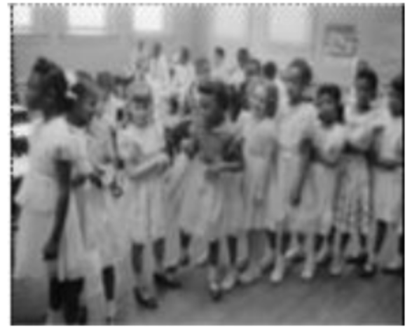 Brown v. Board of Education Ruling