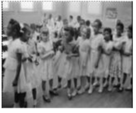 Brown v. Board of Education Ruling