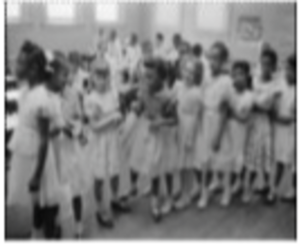 Brown v. Board of Education Ruling