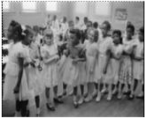 Brown v. Board of Education Ruling