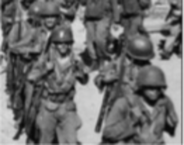 Executive Order 9981