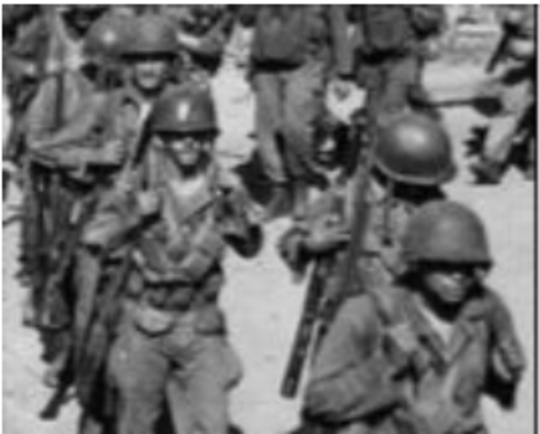 Executive Order 9981