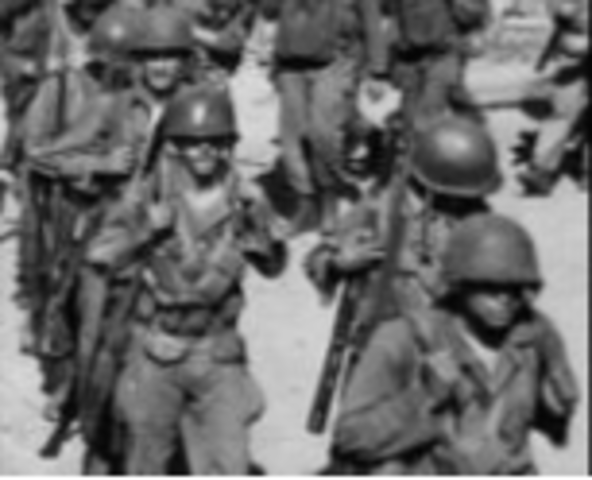 Executive Order 9981