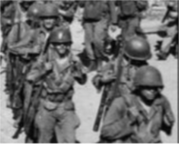 Executive order 9981