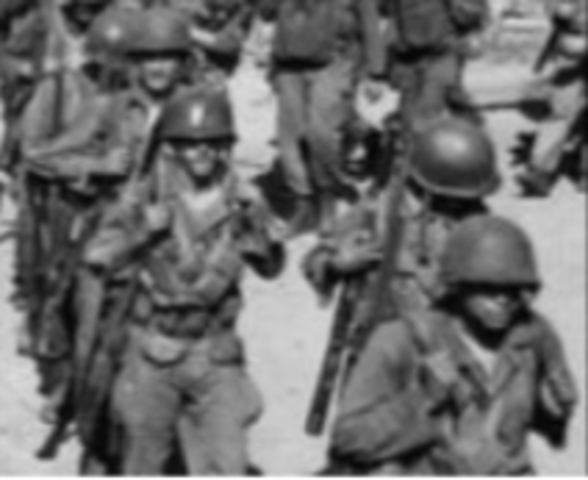 Executive Order 9981