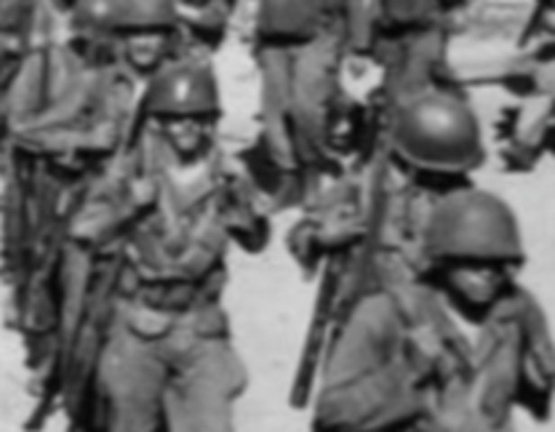 Executive Order 9981