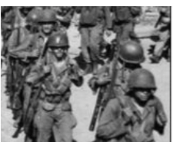 Executive Order 9981