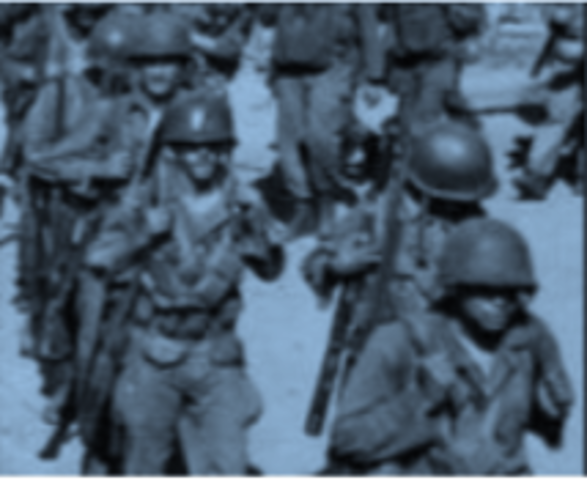 Executive Order 9981