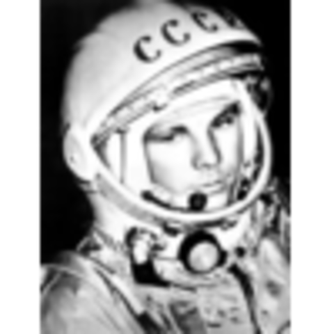 First Person In Space