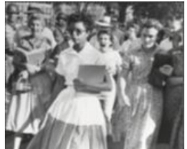 Integration of Central High School