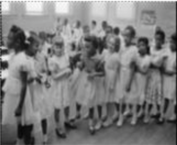 Brown v. Board of Education Ruling