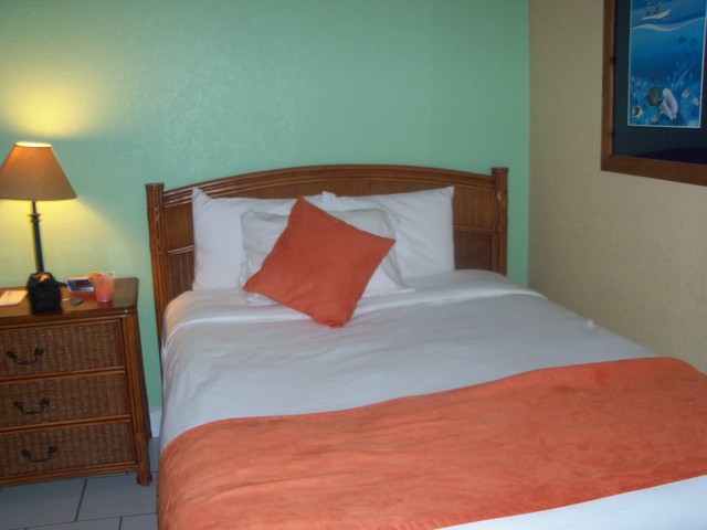 This was the last time this bed looked like this