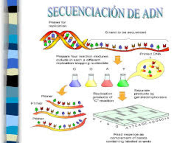 La 1ª secuenciación del ADN