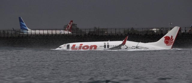 Fatos Marcantes em 2009 ( avião faz pouso de emengia)