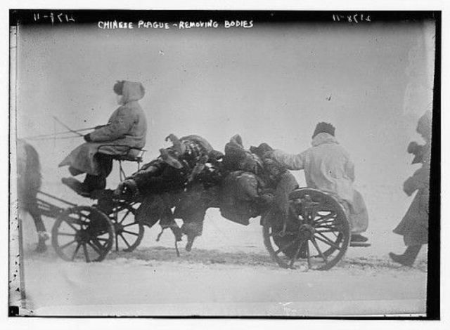 Third Pandemic of Bubonic Plague