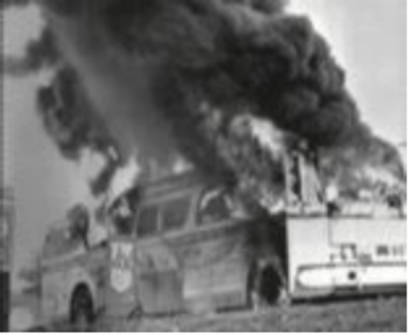 Freedom Rides