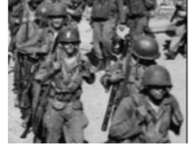 Executive Order 9981