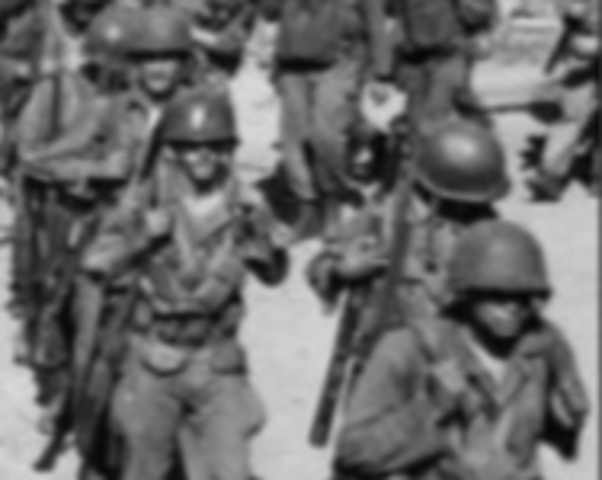 Executive Order 9981