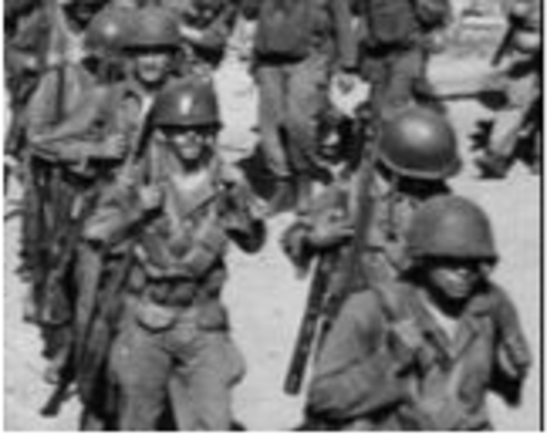 Executive Order 9981