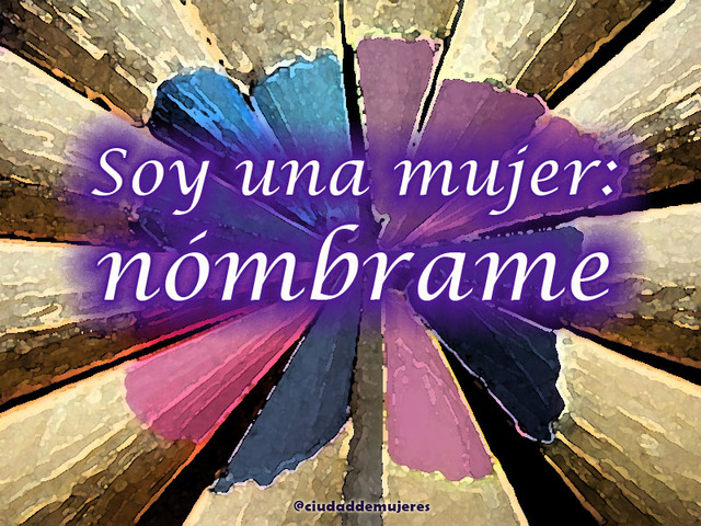 ACUERDO 381 DE 2009 LENGUAJE INCLUYENTE