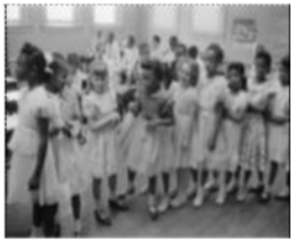 Brown v. Board of Education Ruling