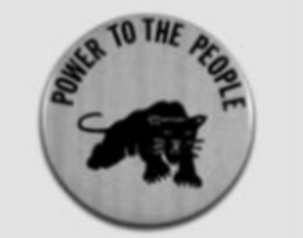 Black Panther Party Founded