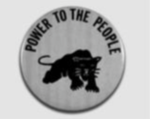 Black Panther Party Founded