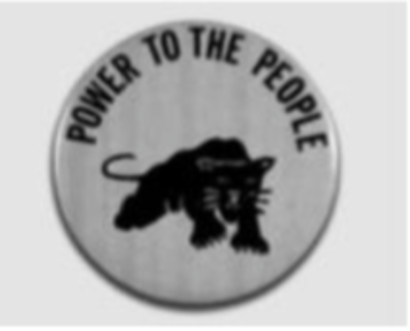 Black Panther Party Founded