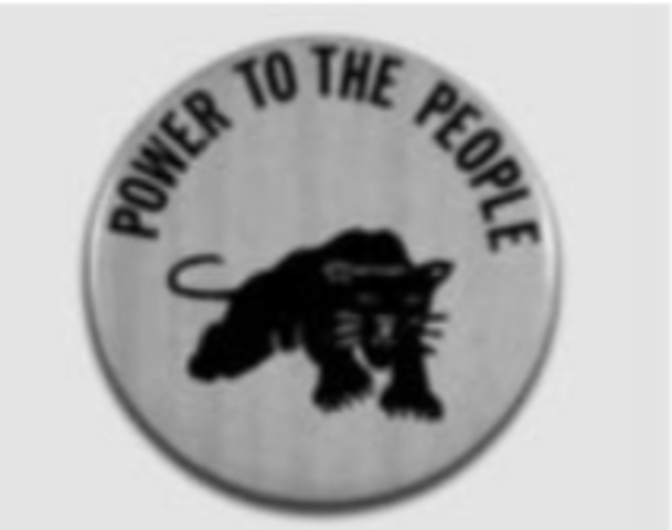 Black panther party founded