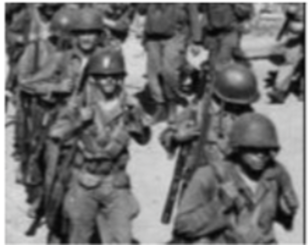 Executive Order 9981