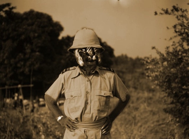 Elsweyr Civil War begins