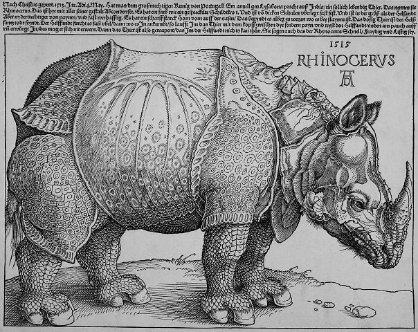 Albrecht Dürer "Ninasarvik"