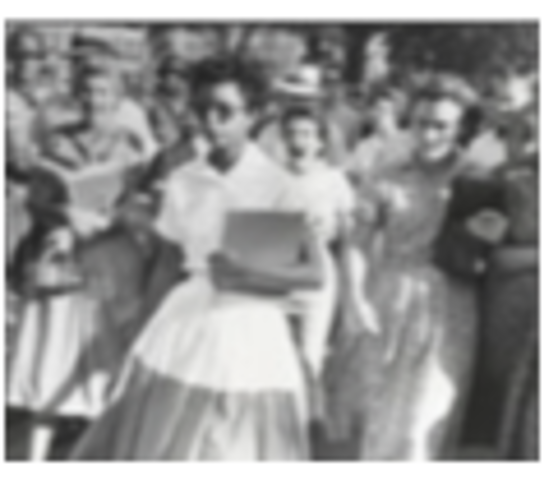 Integration of Central High School