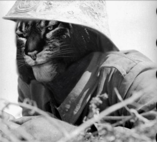 Elsweyr Civil War ends