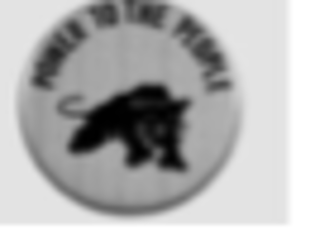 Black Panther Party Founded