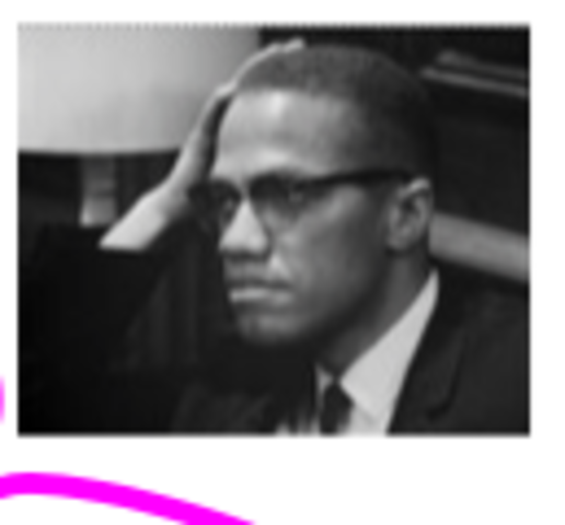 Advocates for Black Nationalisms